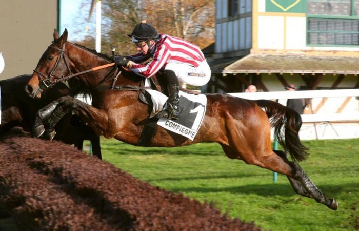 Game Of Storm brillamment au Prix Roger Saint à Compiègne