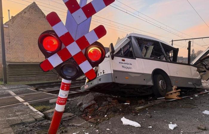 “Il y avait 20 enfants à bord, le chauffeur a évité une catastrophe” (Zedelgem)