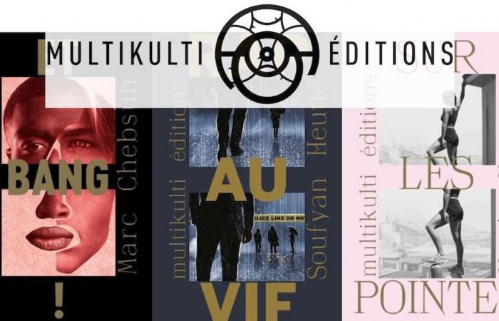 MultiKulti Éditions lance une collection pour « rendre visible l’invisible »