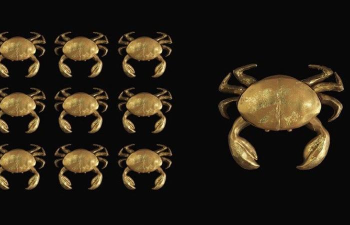 Cette année, le plus joli cadeau en chocolat à offrir est un « crabe doré »