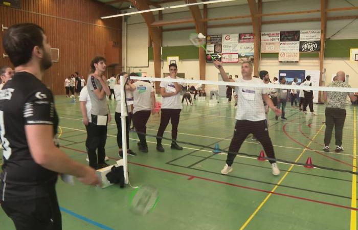 le badminton avant le job dating, le nouveau dispositif France Travail