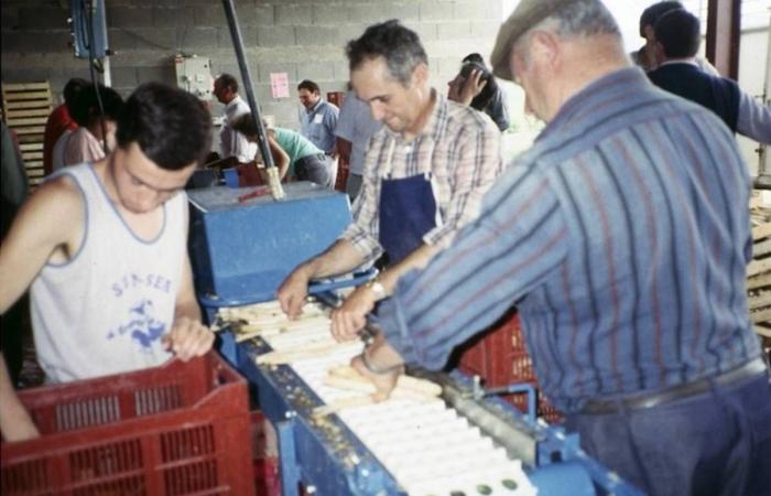 La Chambre d’Agriculture de Haute-Loire fête cette année ses 100 ans