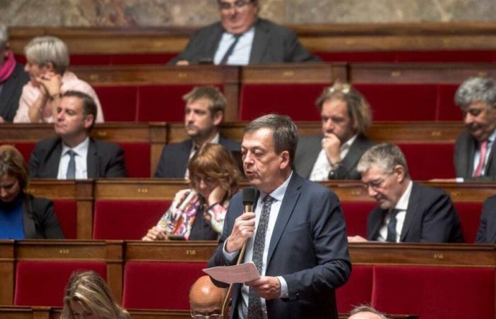 les députés ont failli en venir aux mains dans l’hémicycle