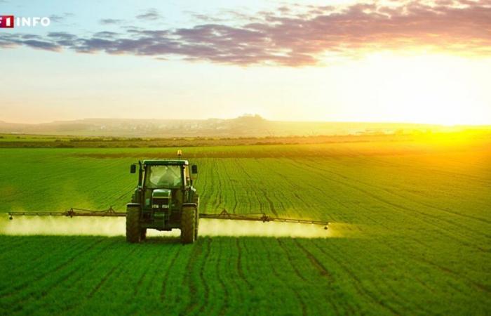 puzzle autour d’un des pesticides les plus utilisés en France