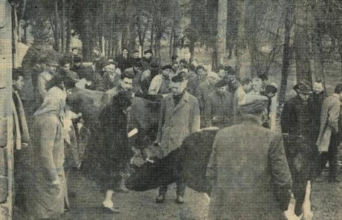 La Chambre d’Agriculture de Haute-Loire fête cette année ses 100 ans