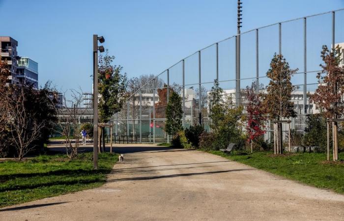 sur une rive droite densifiée, Belvédère prend vie