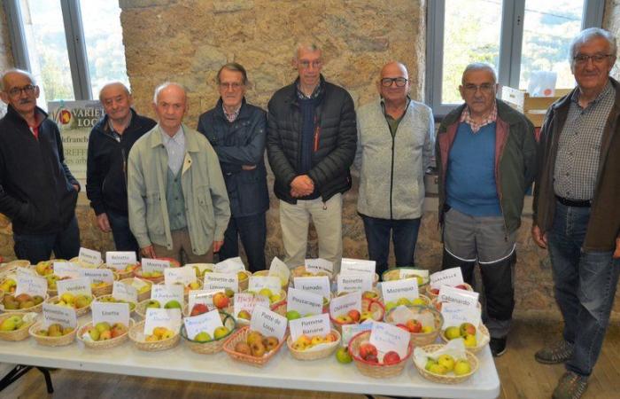 Salles-la-Source. Vers un livre sur les fruits de l’Aveyron avec les variétés locales 12