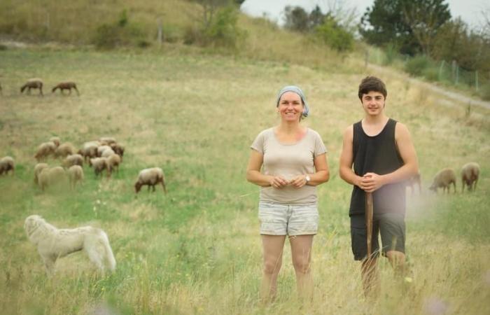 Solenn Guillaume et Yann Vetois, éleveurs de 240 brebis, 600 poules pondeuses et 2 000 poulets de chair bio à Fanjeaux dans Piège (Aude)