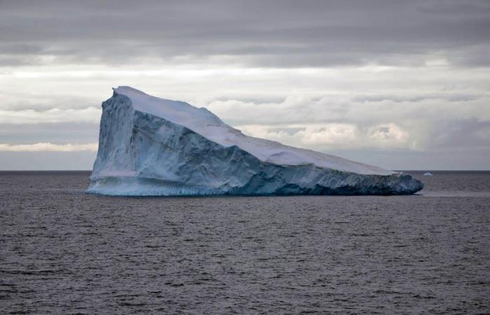 Les croisiéristes entament une grève de la faim en signe de protestation