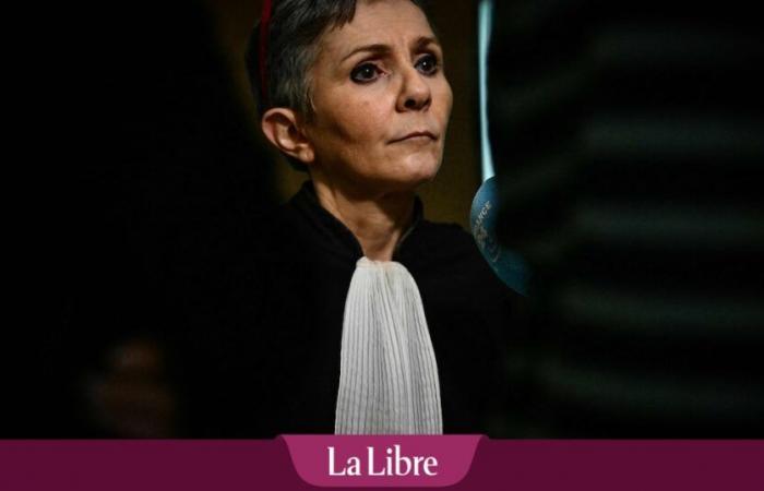 qui est vraiment Béatrice Zavarro, l’avocate de Dominique Pelicot « seule face au monde » ?