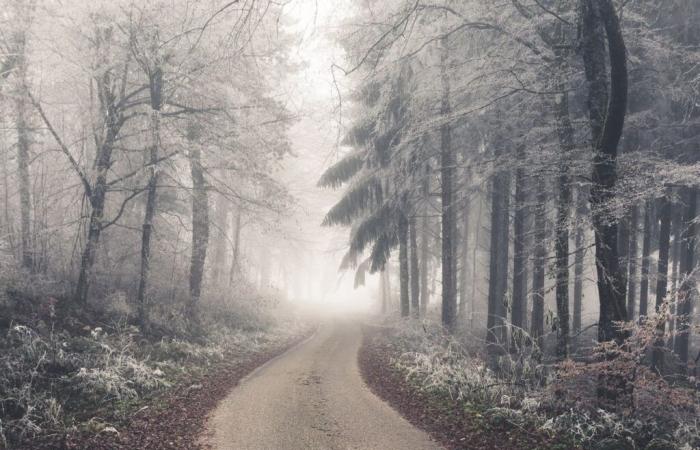 attention au gel et au brouillard verglaçant !