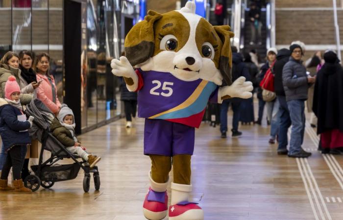 Maddli, un chiot Saint-Bernard, mascotte de l’Euro féminin en Suisse