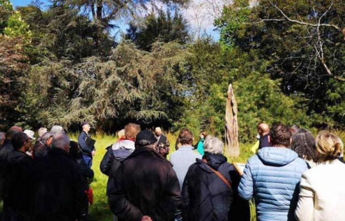 Le nouveau parc du Professeur Auvigne prend forme