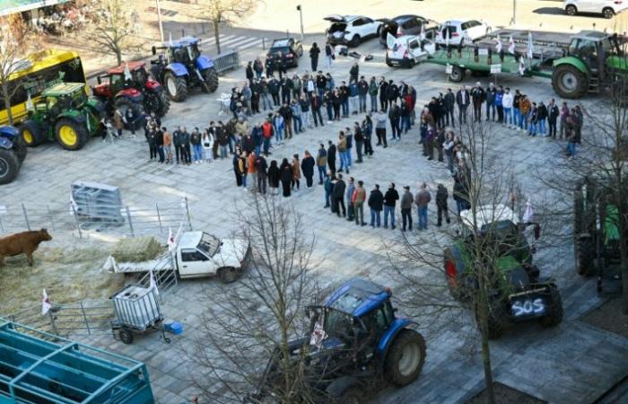 La FNSEA fait monter les enchères, préfère la « stabilité » du gouvernement – ​​29/11/2024 à 18h21