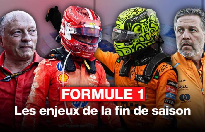 VIDÉO F1. Duel McLaren – Ferrari, Alpine… Trois raisons de suivre les deux derniers GP de la saison