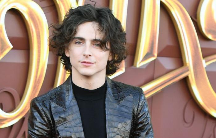 Timothée Chalamet révèle 2 grands films pour lesquels il a auditionné mais n’a pas réservé et explique ce qui n’a pas fonctionné | auditions, Casting, Cinéma, Timothée Chalamet