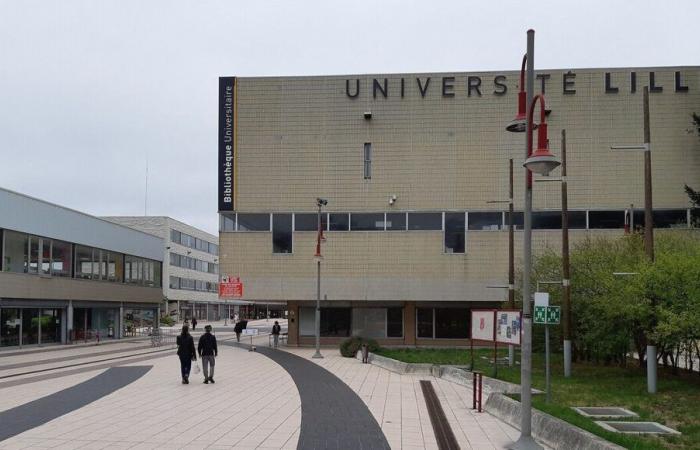 Face au manque de soutien de l’Etat, l’Université de Lille organise une « journée de l’université morte » mardi 3 décembre.