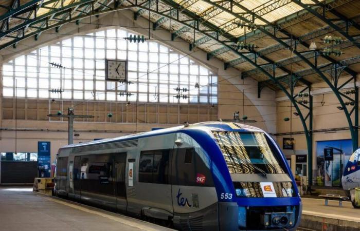 Augmentation des salaires, extension des prestations sociales… La SNCF fait tout pour éviter une grève à Noël