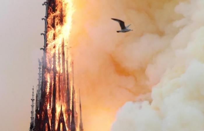 Le nouvel éclat de Notre-Dame de Paris se dévoile au monde entier lors d’une dernière visite de Macron (photos)