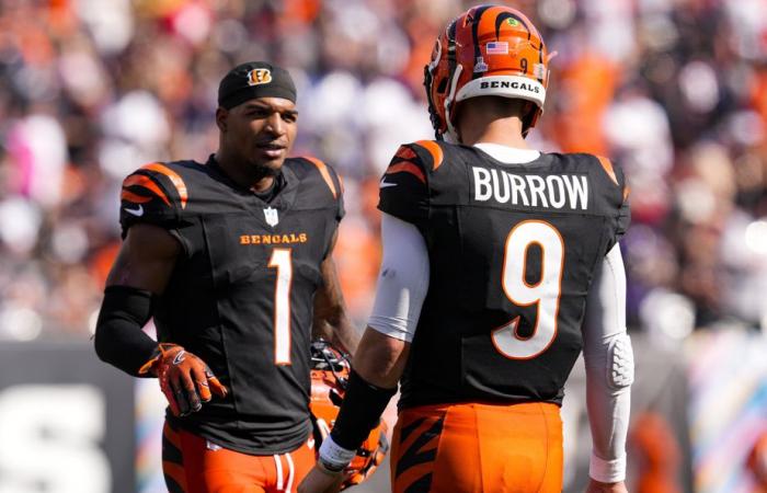 Bengals de Cincinnati | Anatomie d’une chute