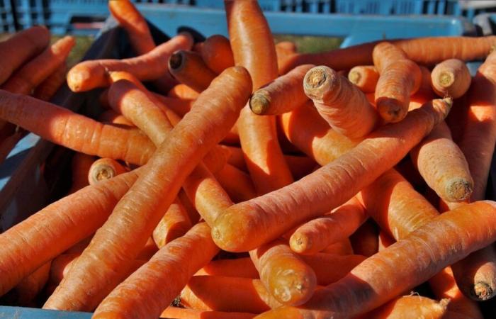 Quelle est cette arnaque aux fruits et légumes qui a fait plusieurs victimes en Vendée ?