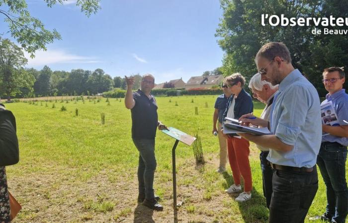 2ème fleur, prix spéciaux… Le triplé gagnant de l’Agglo aux Villages fleurs 2024 de l’Oise