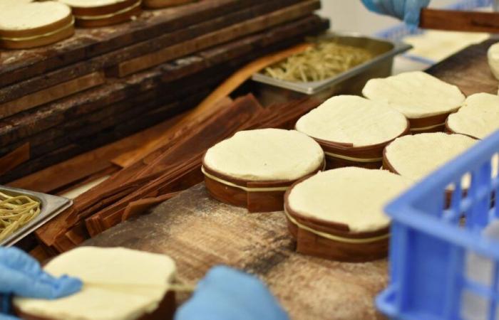 Des lots de Mont d’or d’une fromagerie du Haut-Doubs rappelés pour risques de gastro-entérite