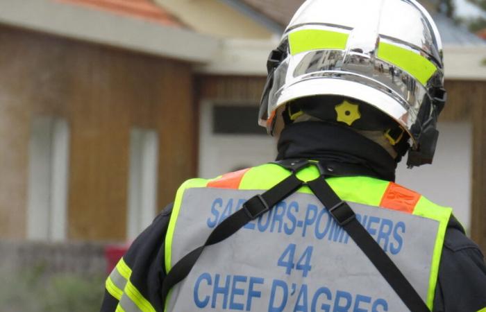 Fire in a fishmonger in Loire-Atlantique: technical unemployment