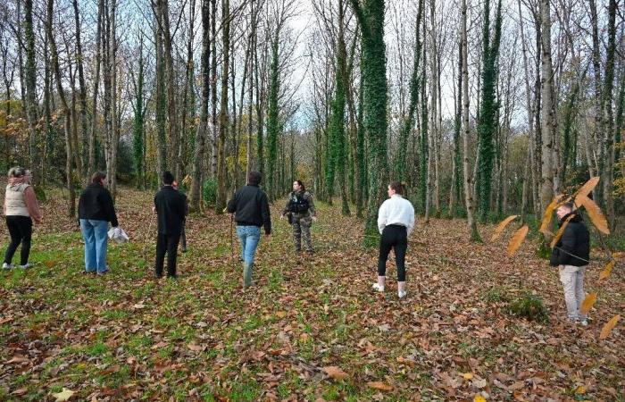 700 à 800 bénévoles mobilisés pour une chasse ce vendredi en Bretagne pour retrouver Morgane, 13 ans, disparue depuis lundi