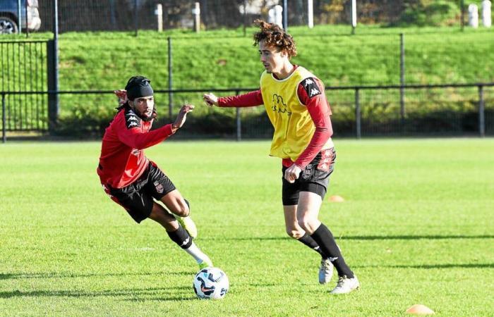 Les joueurs de l’En Avant Guingamp sillonnent la campagne à la recherche de l’adolescent disparu