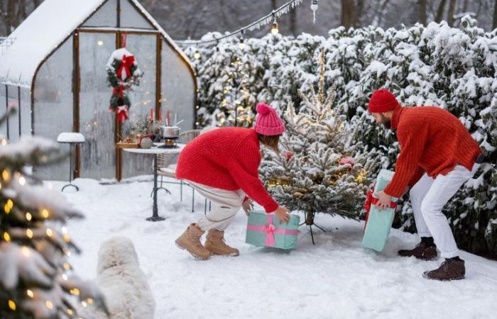 Y aura-t-il de la neige à Noël en France cette année ? Découvrez les tendances météorologiques les plus probables pour les 24 et 25 décembre