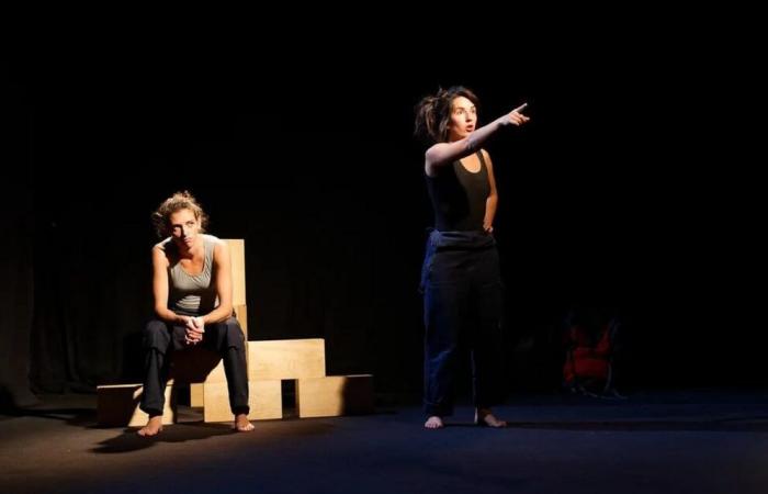 Un spectacle théâtral qui unit Israël et la Palestine à La Coquille