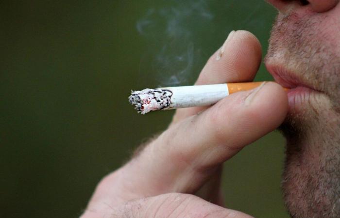 vers une envolée du prix du paquet de cigarettes en 2025 ? – 29/11/2024 à 16h43