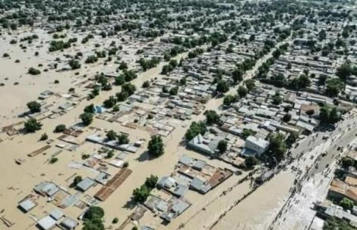 Des fonds sont nécessaires pour étudier l’impact du changement climatique sur la santé, préviennent des chercheurs européens