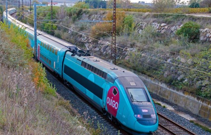 des passagers bloqués pendant plus de 7 heures dans un train, après une brutale collision avec une voiture