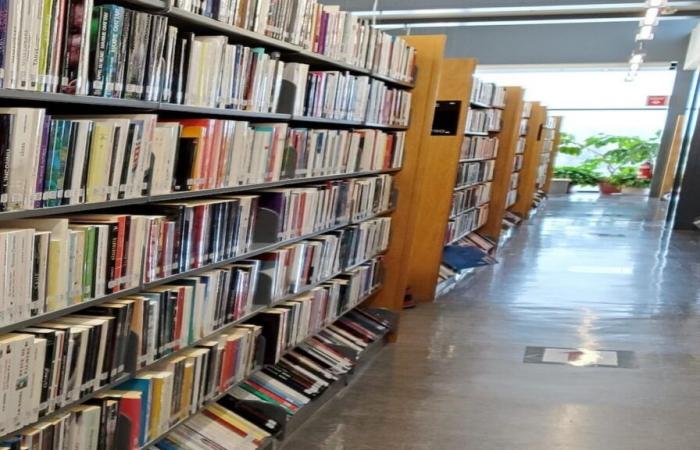 Les bibliothèques des cégeps disparaissent