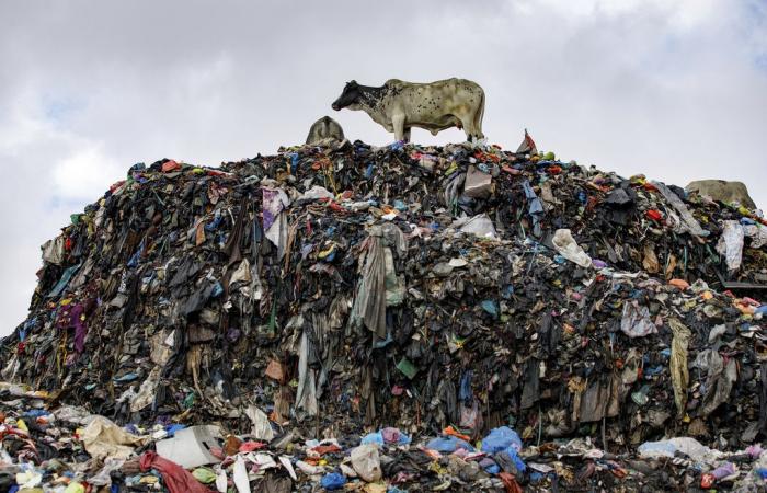 La plupart des vêtements envoyés au recyclage textile finissent en Afrique – rapport