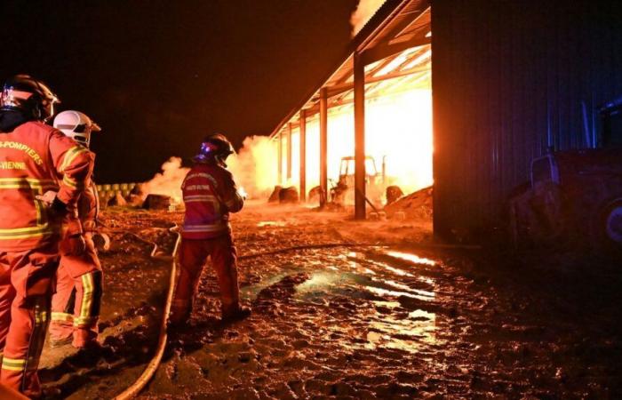 un bâtiment agricole ravagé par les flammes