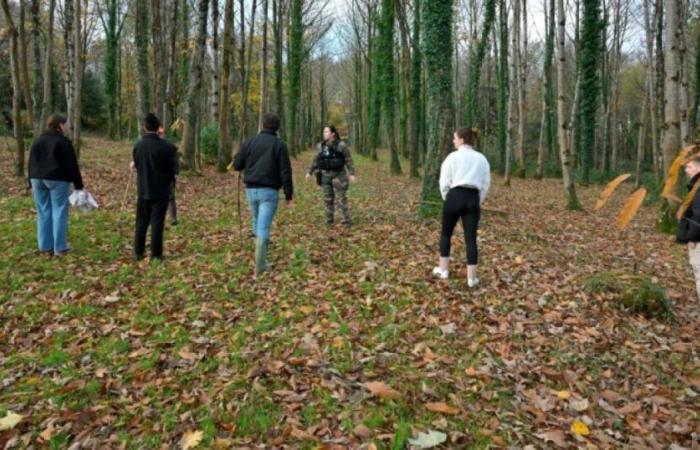 près de 800 volontaires pour une chasse, l’enquête continue : Actualités