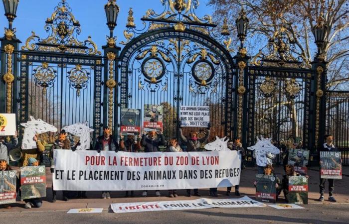 16 associations manifestent pour la fermeture du zoo de la Tête d’Or