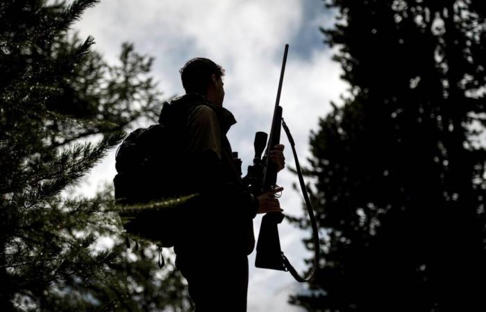 Accident de chasse mortel à Oulens-sous-Echallens