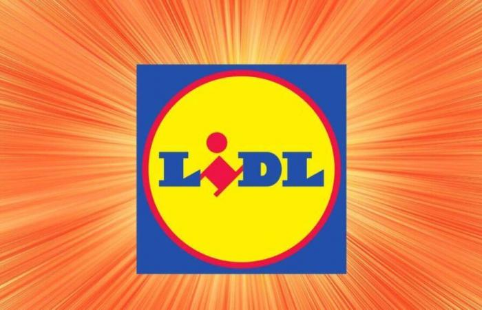 Lidl baisse les prix de ces 6 radiateurs à moins de 100 euros