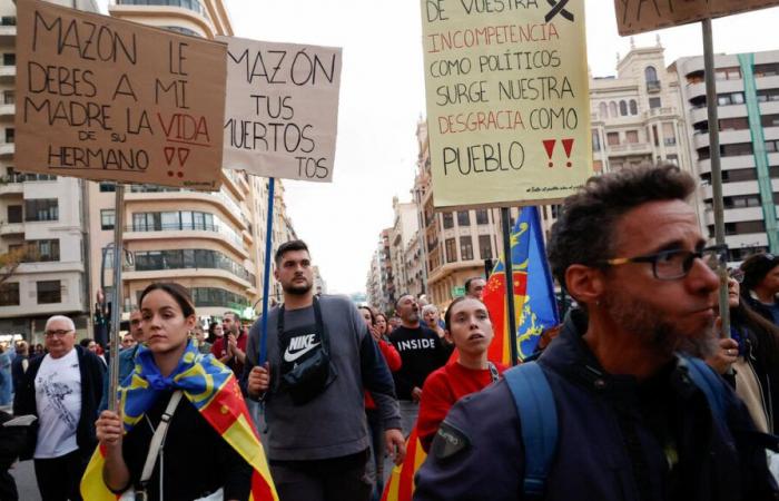 100 000 personnes manifestent à Valence contre la gestion des autorités