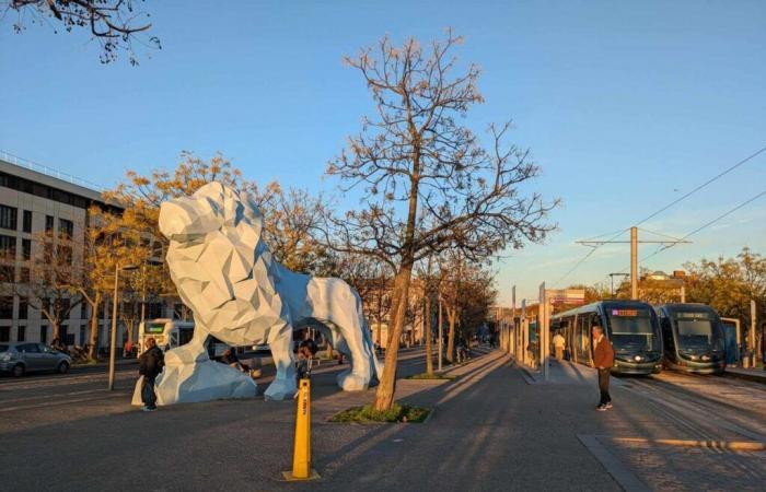 « Un devoir de mémoire », une pétition lancée pour rebaptiser la place Stalingrad en place d’Ukraine à Bordeaux