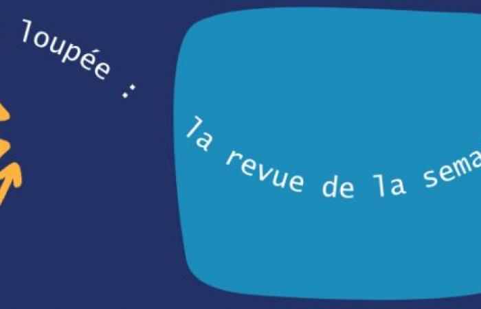 Revue du News Magazine #12 : 25 au 29 novembre