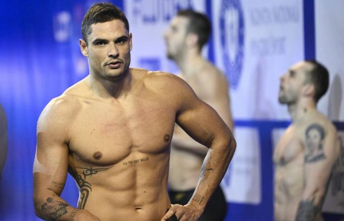 Florent Manaudou dans le grand bain de l’émission de TF1