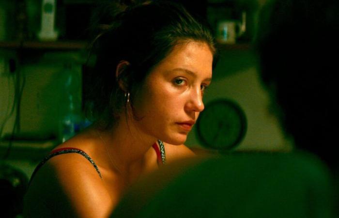 Raté au cinéma, ce drame avec Adèle Exarchopoulos est visible ce soir à la télé