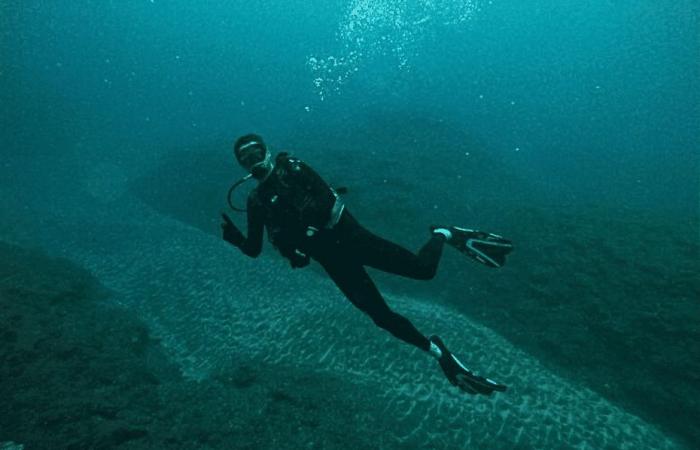 Nicolas plongera pour le record du monde de la plus longue chaîne humaine sous-marine à La Réunion