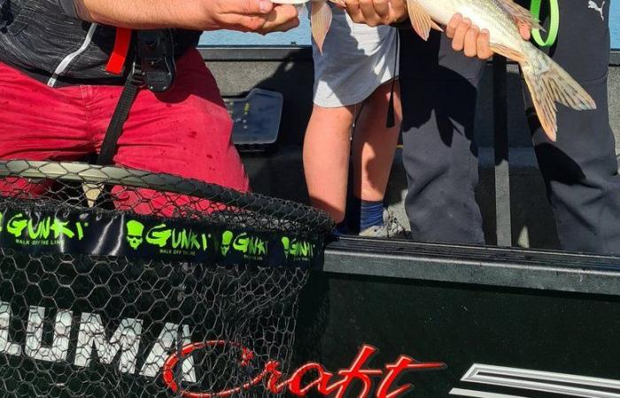 Dans l’Aude, c’est l’heure de la pêche aux carnassiers