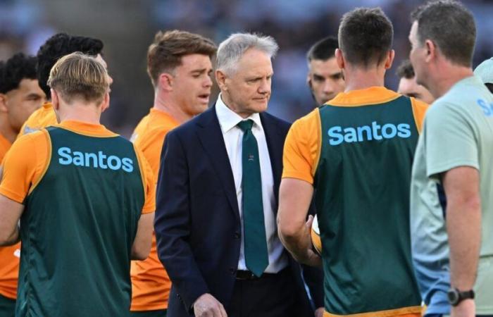 “J’ai l’impression de pagayer fort”, Joe Schmidt retourne en Irlande pour reconstruire l’Australie